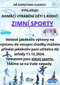 Zimní sportovní vyrábění